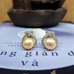 Bông Tai Ngọc Trai CHNT08